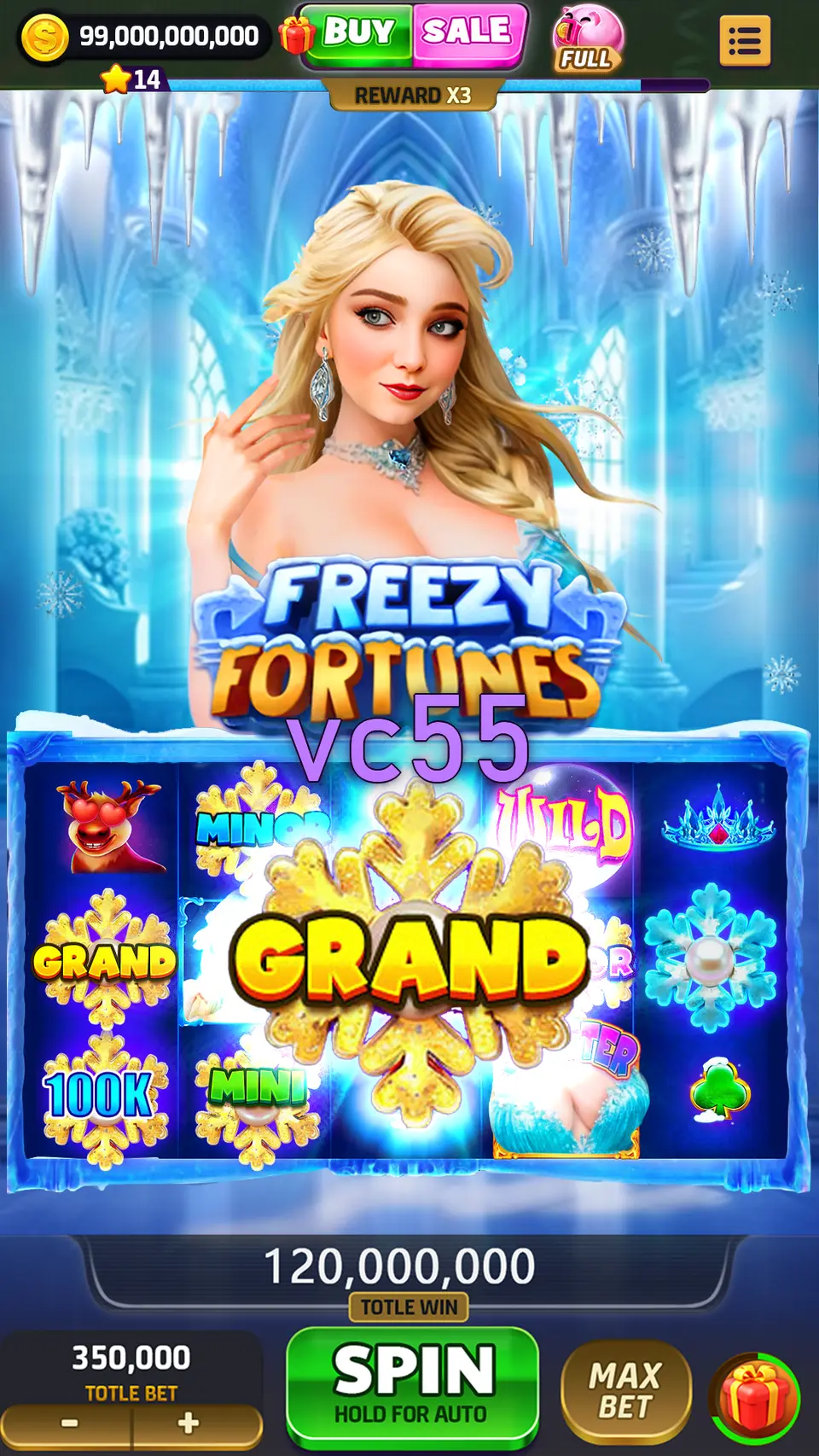 Tangkapan Layar vc55